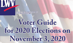 Bozeman 2020 Voter Guide Picture