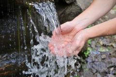 Drinking Water from a natural spring