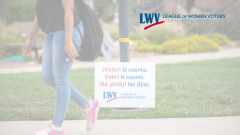 Vote counts