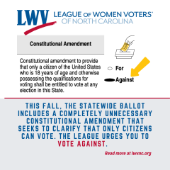 constitutional amendment graphic 