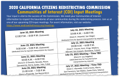 Redistricting Flyer Thumbnail