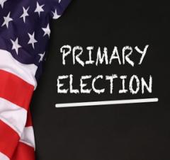 Primary Election on chalkboard with flag