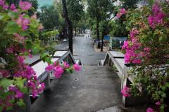Two Sudes Flowers