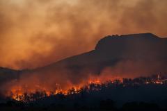 wildfire wildfire