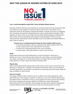 Image of the reasons to vote no on issue 1