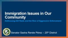 Immigration Issues Presentation Image 092725