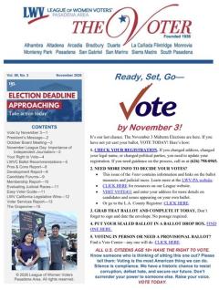 November Voter 2026 Image