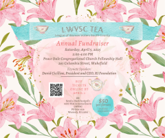 fundraiser tea south county