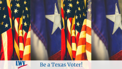 Texas and American flags