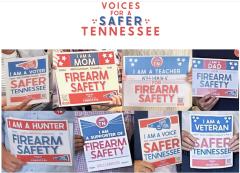 Posters of Gun Safty 