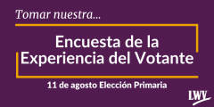 Gráfica de la encuesta de la experiencia del votante