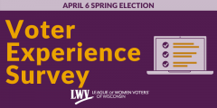 Graphic promoting a voter experience survey