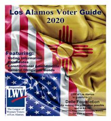 20200101-VoterGuideImage 300x300 20200101-VoterGuideImage General Election 300x300
