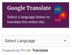 Picture of Google Translate button