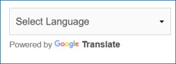 Picture of Google Translate widget