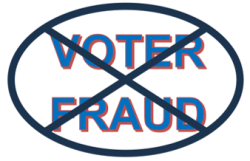 Voter Fraud image