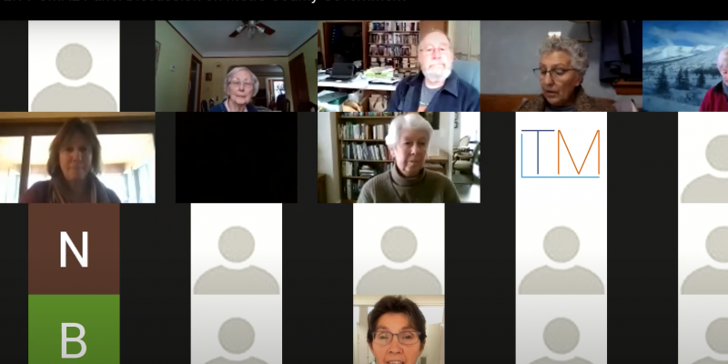 Zoom Screen of CMAL members discussing the County Government Study