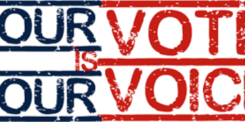 Your Voice is Your Vote