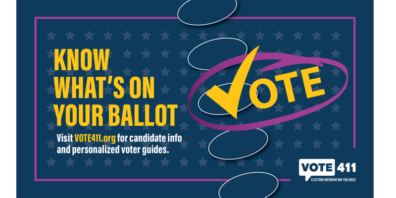 Vote 411 Know What's On Your Ballot Image