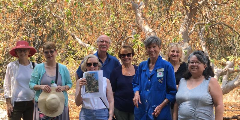 Summer social hiking and learning about California Native plants. Member Susan Hallgren led the hike