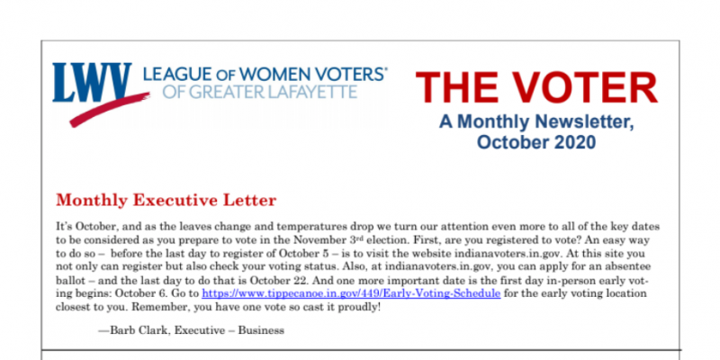 October 2020 VOTER newsletter published Screenshot of the top half of the VOTER newsletter