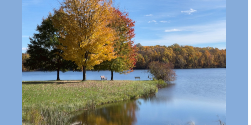 hudson fall