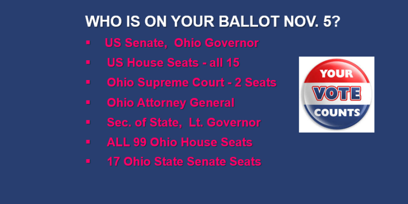 use your vote
