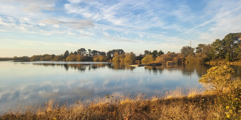 Arcata Marsh