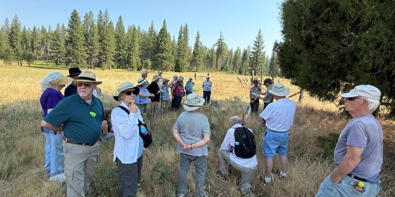 Ackerson Meadow Ackerson Meadow Water Interest Group Trip to view restoration work