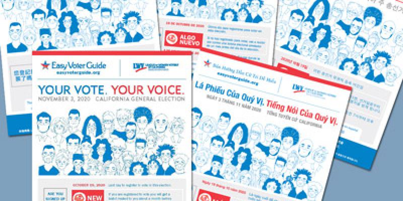 Easy Voter Guide Graphic