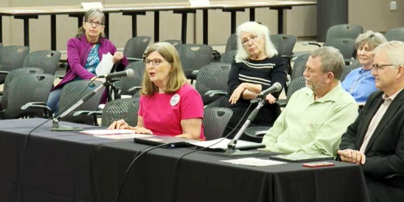 Nancy Stevens delivers testimony to the Texas House Redistricting Committee