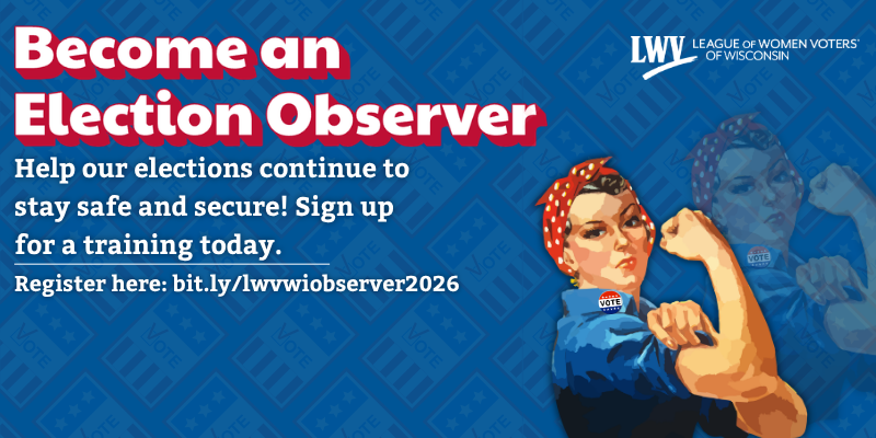 Become an Election Observer - November 2026