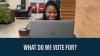 Why Vote411