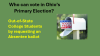Who can vote in primary coillege