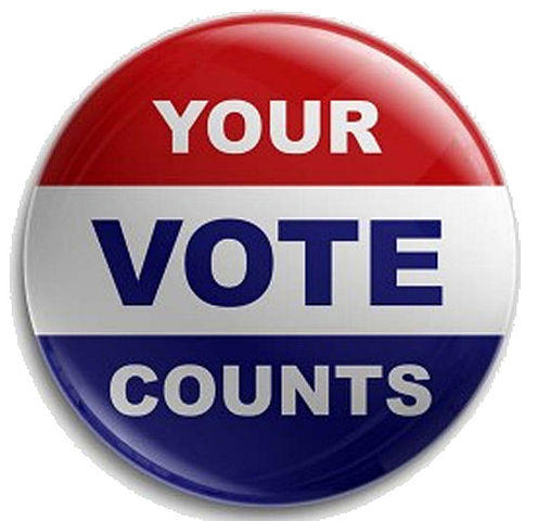 Your vote counts button