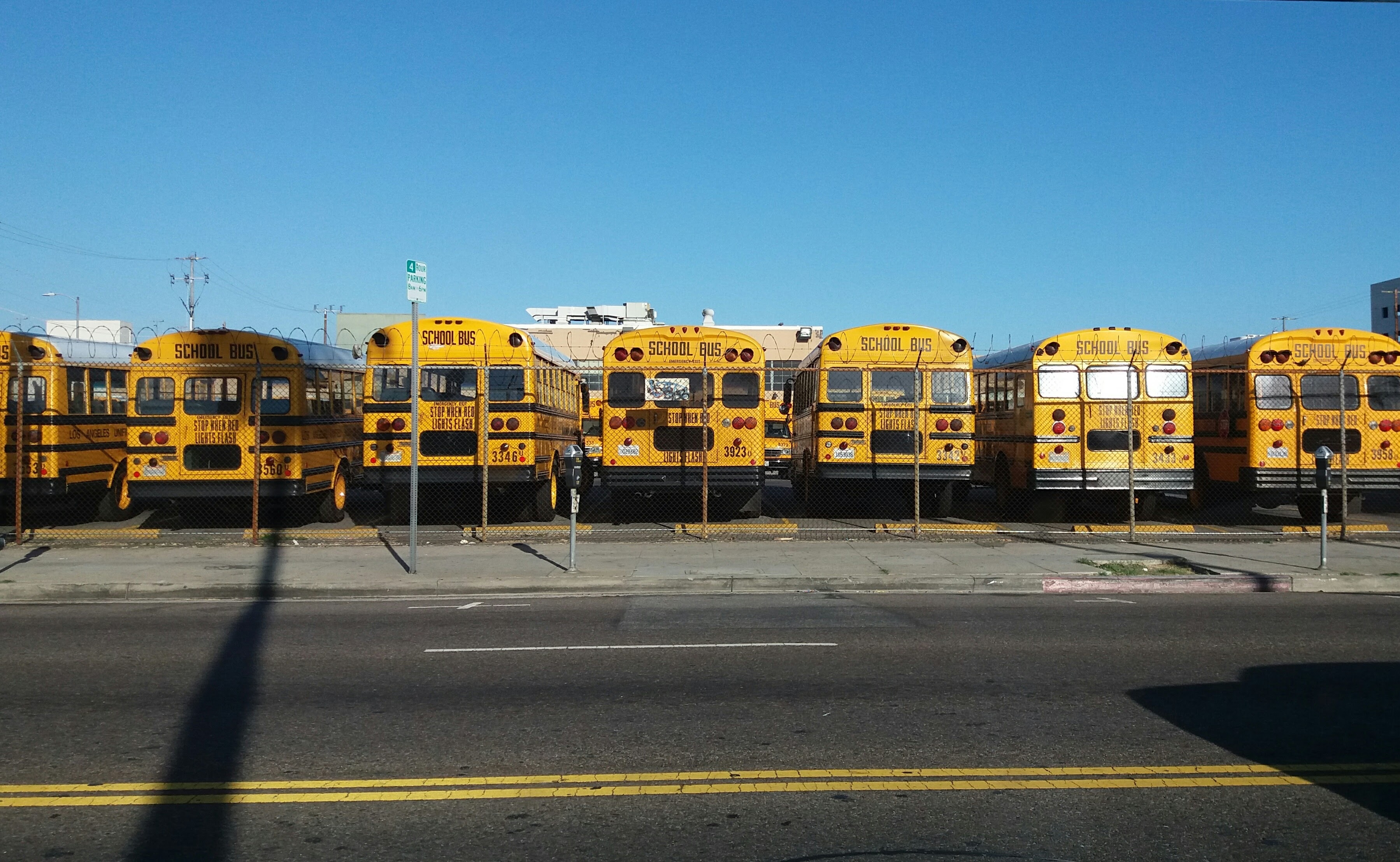 school busses