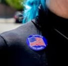 voter purge shutdown