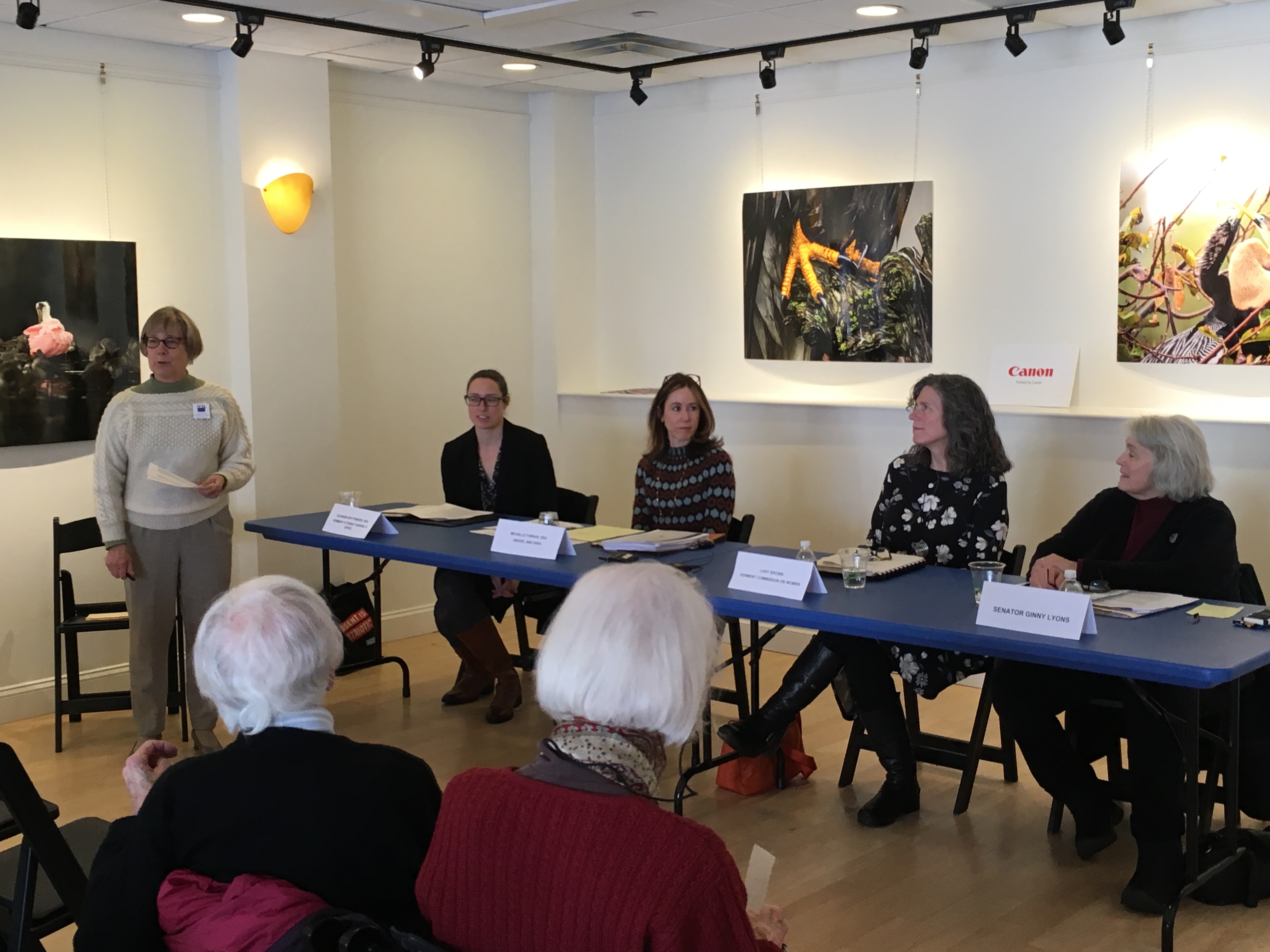 Introducing Panel to discuss an inclusive equal rights amendment to the Vermont constitution