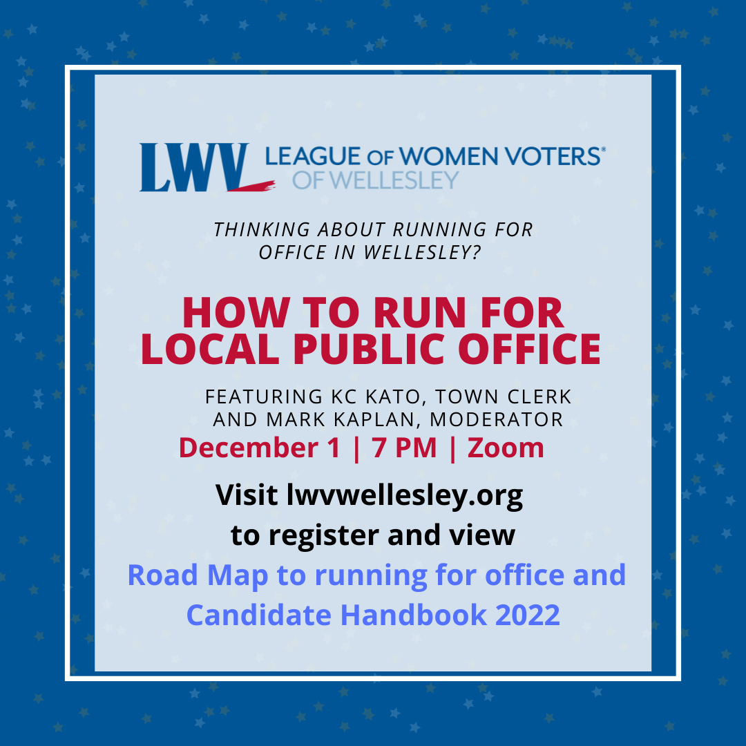 How to Run for Local Public Office