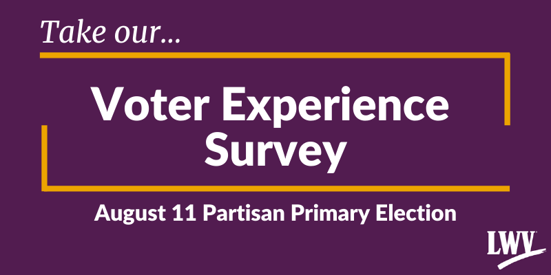 Graphic of our voter experience survey.