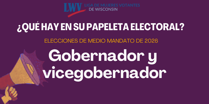 ¿Qué aparecerá en la boleta? Gobernador y Vicegobernador